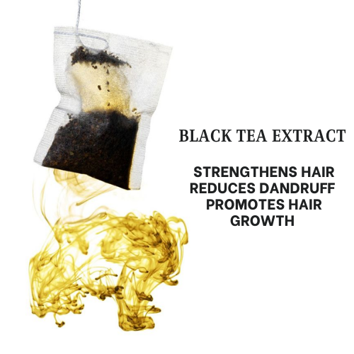 Black Tea Anti-Dandruff & Hair-Fall Control Shampoo for Men | 200ml